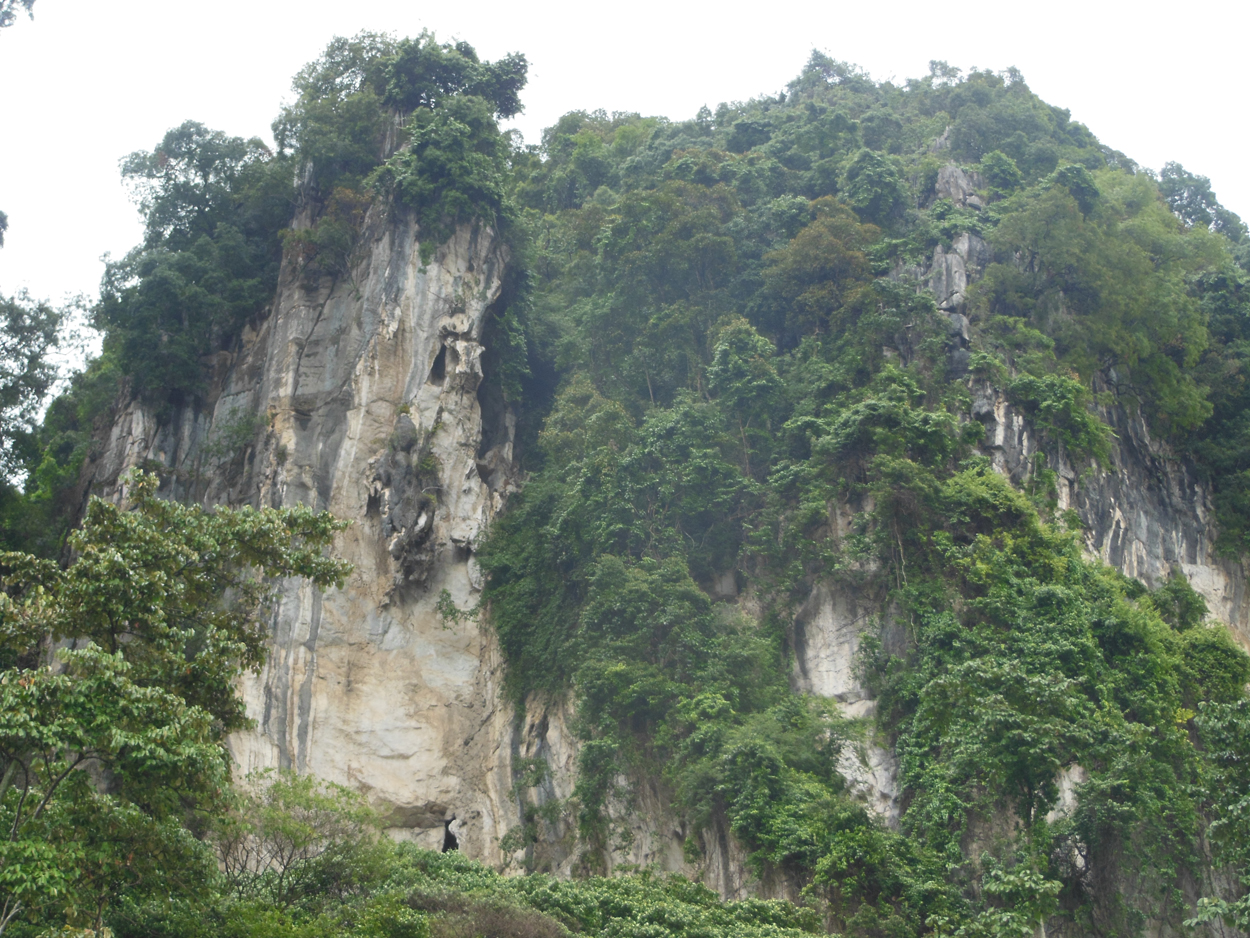 2013-11-03 Kuala Lumpur (Beim Tempel) 
